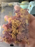 爷爷的农场有机婴幼儿太空造型意大利面200g 国家婴标宝宝婴儿面条面1岁-2岁 实拍图