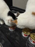 顽皮泰国猫罐头 吞拿鱼+明虾（汤汁型）85g*48猫咪零食猫湿粮 实拍图