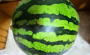 京鲜生 无籽麒麟西瓜 1粒装 净重5-7斤 生鲜水果源头直发包邮 晒单实拍图