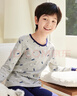 红豆儿童纯棉内衣套装男女童秋衣秋裤睡衣棉毛衫套装M1241麻灰170 实拍图