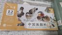 六品堂国画颜料初学者套装小学生初中生入门中国画12色矿物颜料毛笔生宣纸水墨画工笔画工具包23件美术生 实拍图