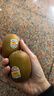 佳沛（zespri）新西兰 新果季 阳光金奇异果30-33粒原箱单果重约101-124g 猕猴桃 实拍图