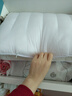南方生活五星级酒店超薄低枕头睡眠深度矮枕A类软枕男女家用颈椎硬枕头 低枕-木棉花（单只装） 实拍图