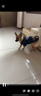 欢宠网宠物狗狗衣服猫咪猫小狗小猫泰迪比熊猫猫小型犬幼犬冬季保暖服饰 实拍图