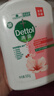 滴露（Dettol）洗手液抑菌滋润450g*2+松木450g*2儿童家庭补充装消毒温和护手 实拍图