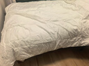 LOVO罗莱家纺 七孔纤维防螨二合一子母冬被子 8斤200*230cm 白色 实拍图