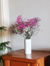 爱满（AIMAN）满天星天然干花花束ins网红生日 新房装饰摆件风干真插花家居摆设 白+紫+桃红满天星  【不带花瓶】 实拍图
