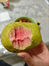 广西红心芭乐番石榴新鲜【源头直发】应当季孕妇儿童水果现摘现发 2斤优选装-单果100g+净重1.5斤 实拍图