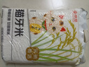 京觅猫牙米 20斤 南方籼米 丝苗米 5kg*2袋箱装 实拍图