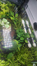 尼奥光（NEO-HELIOS）鱼缸灯水草灯LED灯S3pro+RGB植物光谱 【二代加长款】13wS3pro+加长24厘米 实拍图