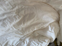 MIDO HOUSE60支全棉50%大豆纤维被春秋被子秋冬被芯四季被单人宿舍150*200cm 实拍图