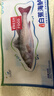 仙泉湖三去白蕉海鲈鱼 400g/条净膛冷冻刺少肉厚特产食材生鲜水产 实拍图