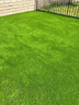 清雅仿真草坪地毯假草皮铺垫塑料户外人造球场人工围挡幼儿园绿色地垫 3厘米全新升级15针特级特密质保S级款 (1米宽10米长)10平方 实拍图