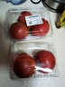 番茄约500g 实拍图