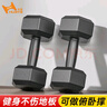 华亚（HUAYA） 哑铃环保包胶六角手铃男士家用健身器材 10KG 一对（5KG*2只） 实拍图