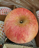 京鲜生 烟台红富士苹果 净重5.2斤/12粒  单果190-240g  水果礼盒 实拍图