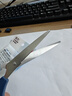 得力(deli)160mm办公生活家用剪刀 小剪子手工剪纸刀 办公用品 蓝色0602 实拍图