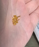 周六福（ZLF）  足金999耳钉黄金耳钉女款迷你小金花耳饰 计价 0.67g 实拍图