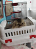 华元宠具（hoopet）猫咪航空箱宠物手提笼子狗狗托运箱车载猫包便携外出国航标准版M 实拍图