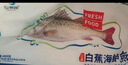 仙泉湖冷冻白蕉海鲈鱼2斤 肉厚刺少生鲜水产食材1斤*2条 生鲜食材 实拍图