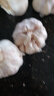 【营田半亩】蒜干蒜头蒜大蒜紫白皮大蒜当季蔬菜0.5-5斤 1斤带箱重【果径5-6cm】特大果 实拍图