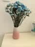 极度空间 陶瓷花瓶插花器客厅工艺品桌面摆件茶几装饰摆件插花器 实拍图