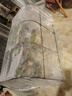 花房保温棚支架花棚家用绿植花卉暖房多肉遮阳避雨室外小型暖棚 黑色150*100*80（含膜） 实拍图