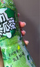 绿力 冬瓜茶凉茶饮料 0脂肪 冬瓜汁果蔬汁 台湾风味饮品 整箱易拉罐装 【清爽解腻】冬瓜茶/24罐 实拍图