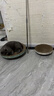 疯狂的主人 猫抓板窝特大号猫玩具猫爪板猫抓盆不掉屑猫窝碗形圆形瓦楞纸 实拍图