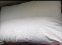 水星家纺枕头枕芯酒店枕头护颈枕头芯家用一对纯棉抗菌可水洗中枕48x74cm 实拍图