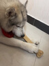 憨憨乐园狗狗磨牙棒宠物狗咬胶狗零食泰迪金毛成犬幼犬磨牙骨头10寸咬胶 实拍图