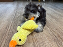 柒哦狗狗玩具耐咬磨牙中大型犬发声狗玩具边牧柯基解闷神器宠物用品 发声玩具冲锋鸭【小号22*25cm】 实拍图