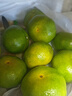 迭果洞口雪峰蜜桔子湖南邵阳蜜桔青皮蜜橘新鲜薄皮应季 5斤 大果 实拍图