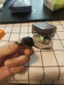 HIFIMAN（海菲曼）【国家补贴】Svanar Wireless LE中天鹅真无线 主动降噪蓝牙耳机 入耳式无线耳机 实拍图