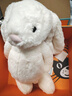Jellycat害羞乳白色邦尼兔动物毛绒玩偶安抚玩偶娃娃生日情人节礼物 害羞乳白色邦尼兔礼盒装（Large） Large 实拍图
