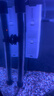 森森鱼缸过滤器三合一内置小型水族箱过滤系统增氧泵XQP-1000F 15W 实拍图