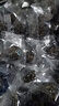 比比赞（BIBIZAN）五珍黑芝麻丸600g约60颗老人孕妇零食即食滋补糕点心休闲零食品 实拍图