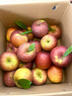 山姆大叔 丑苹果昭通苹果冰糖级【多地次日达】苹果水果礼盒圣诞节礼物 【金标·稀缺果王】单果80-90mm｜甜度翻倍 团购专拍【详询客服】 实拍图