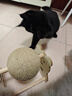 HELLOJOY逗猫咪玩具自嗨解闷猫抓板幼猫爪板小猫抓球耐抓不掉屑耐磨猫爬架 实拍图