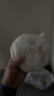 好奇（Huggies）金装拉拉裤XXL74(15kg以上)尿不湿【速干不易红】 实拍图