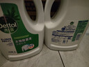 滴露（Dettol）衣物除菌液 松木3L 内衣儿童衣物杀菌除螨 衣服洗衣衣物消毒液 实拍图