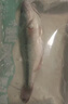 鲜活冲浪河鲈鱼400-500g/条 实拍图