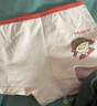 尼多熊儿童内裤女中大童A类平角纯棉婴儿不夹pp透气舒适三角短裤 M码 实拍图