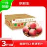 京鲜生沂蒙山秋桃珍珠蜜桃 净重3斤 单果120g+ 甜蜜多汁水果 源头直发 实拍图