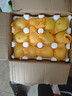 京觅 辽宁大连黄元帅苹果2.7斤单果75-80mm 黄金帅粉面水果源头直发 实拍图