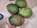 京鲜生 攀枝花凯特芒果 净重8.5斤 带箱9斤 单果500g+ 生鲜水果源头直发 实拍图