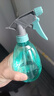 喷壶浇花浇水喷雾器气压式喷水壶家用园艺养花500ml 南瓜喷壶透莹【3个装】 实拍图