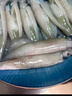 卖鱼七郎全籽笔管鱼净重1.8斤鱿鱼海兔子籽乌满籽带籽火锅食材软足类海鲜 实拍图