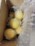 京鲜生 安岳黄柠檬 8粒 单果95-120g 生鲜水果 实拍图
