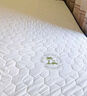 红蜻蜓（RED DRAGONFLY）乳胶床垫1.5米x2.0米记忆棉软垫家用卧室榻榻米垫子海绵租房专用 印花双拼-白绿【厚约10cm】 单人床-100x200cm【不易塌陷】 实拍图